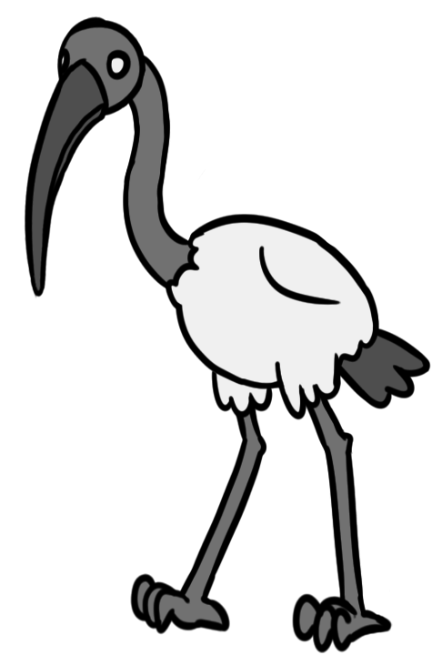 Revealed bird